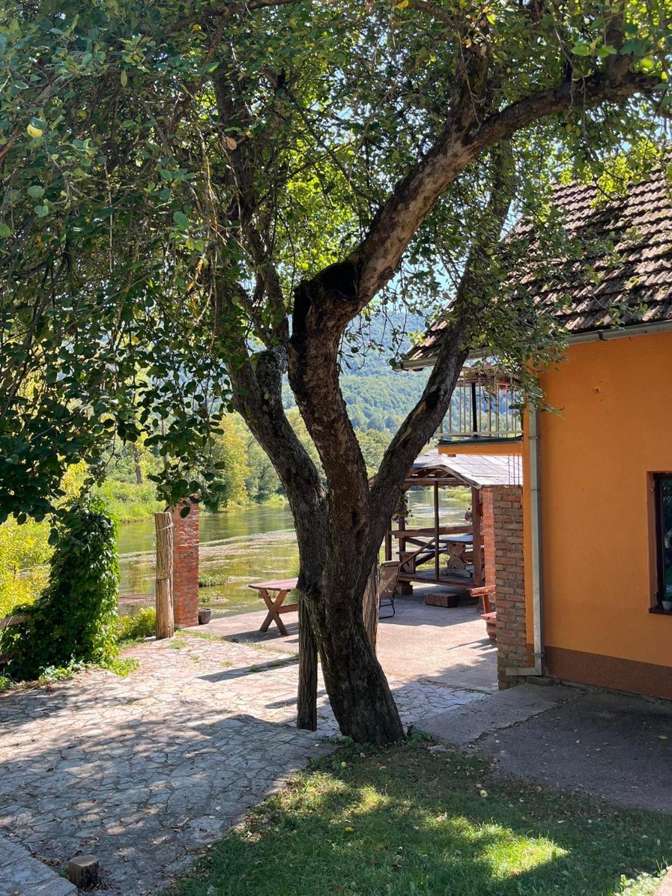 Sipovo Bed And Breakfast Family Djukic מראה חיצוני תמונה