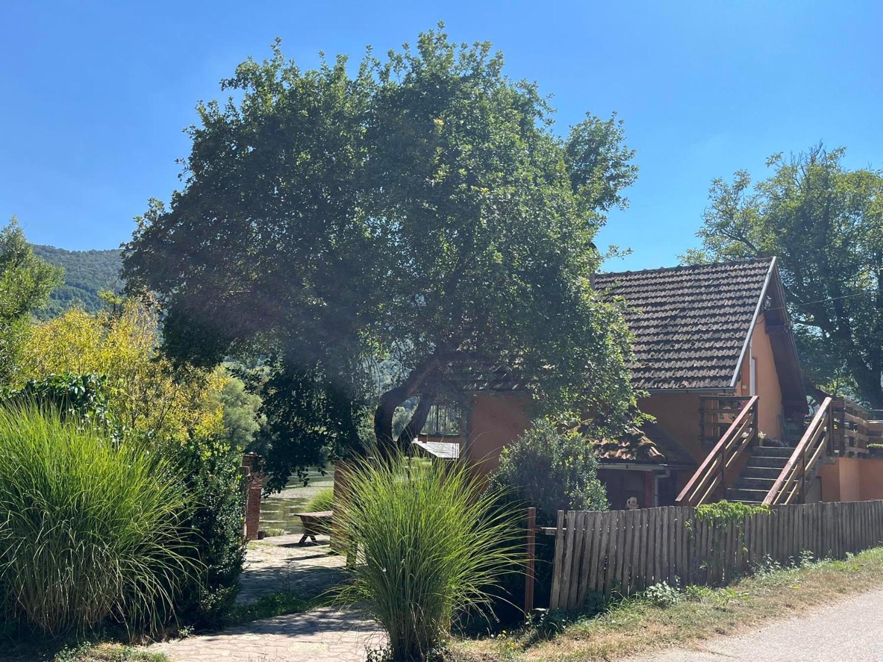 Sipovo Bed And Breakfast Family Djukic מראה חיצוני תמונה